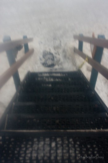 Winter Stroll #1