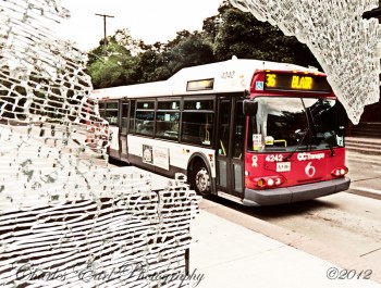 Shattered Transpo
