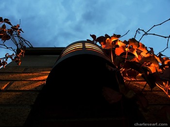 Fall Dusk (Toronto)