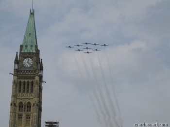 Snow Birds
