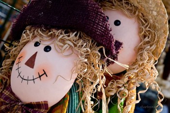 Market Dolls